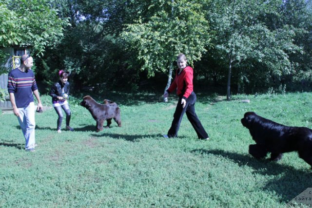 Фотография № 77852