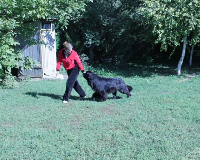 Фотография № 77853