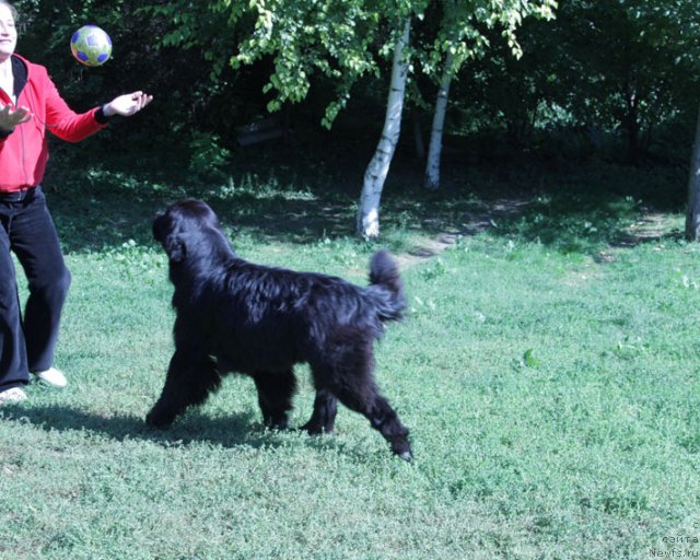 Фотография № 77855