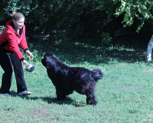 Фотография № 77856