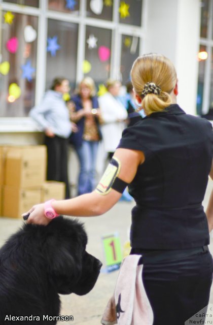 Фотография № 77881