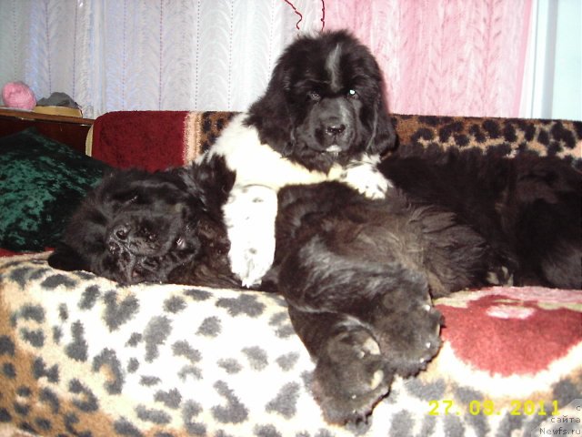 Фотография № 77910