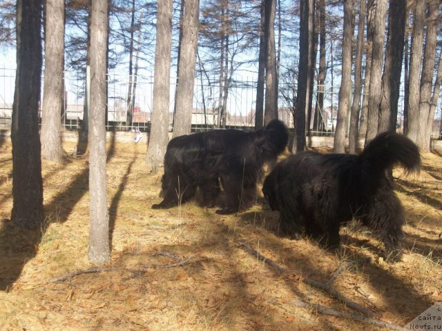 Фотография № 77934