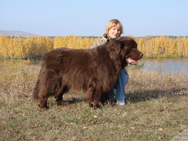 Фото: Ченс и я, Светлана Панченко