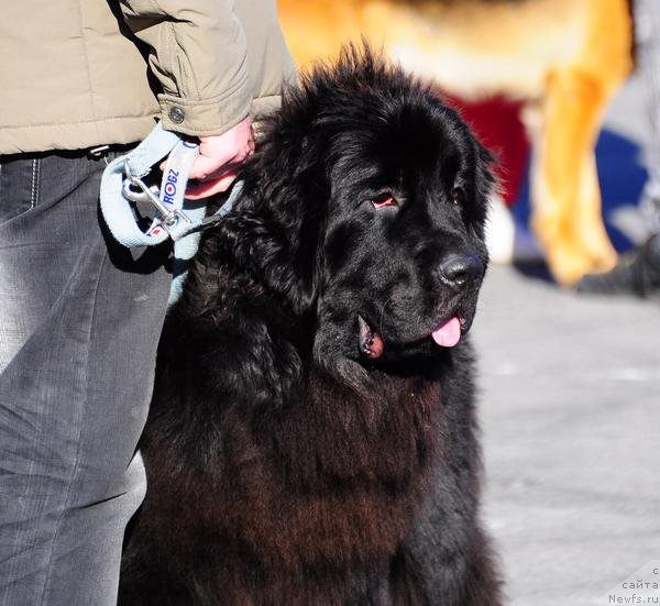 Фотография № 77970