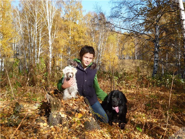 Фотография № 78033