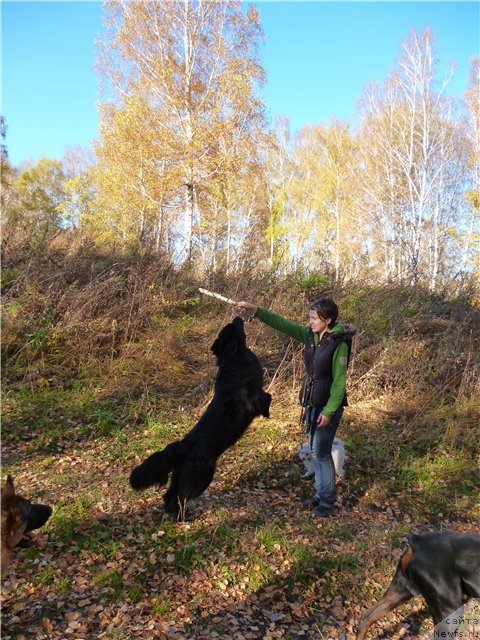 Фотография № 78037