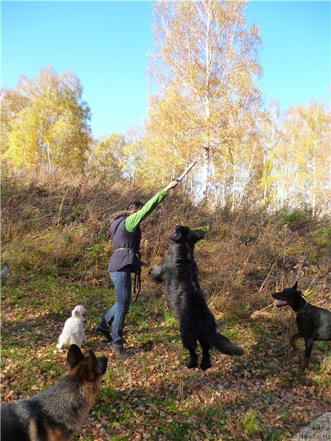 Фотография № 78038