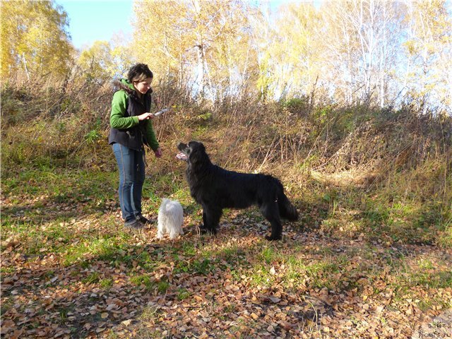 Фотография № 78040