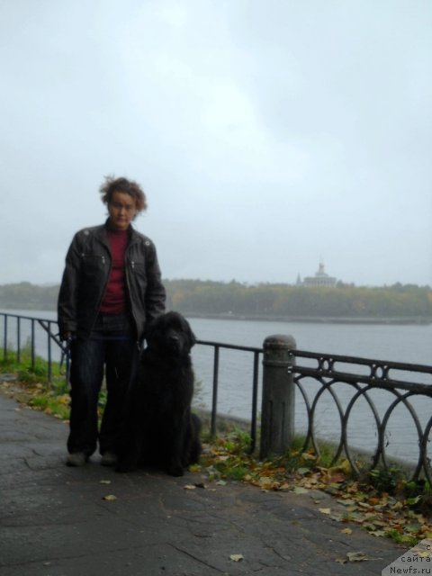 Фотография № 78050