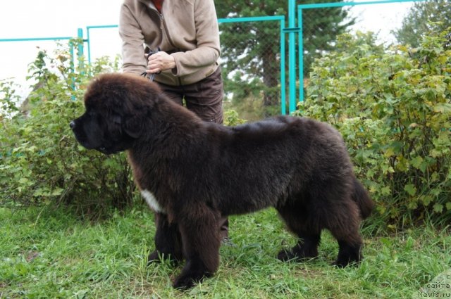 Фотография № 78125