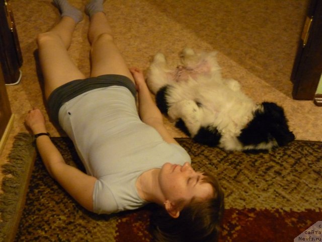 Фотография № 78142