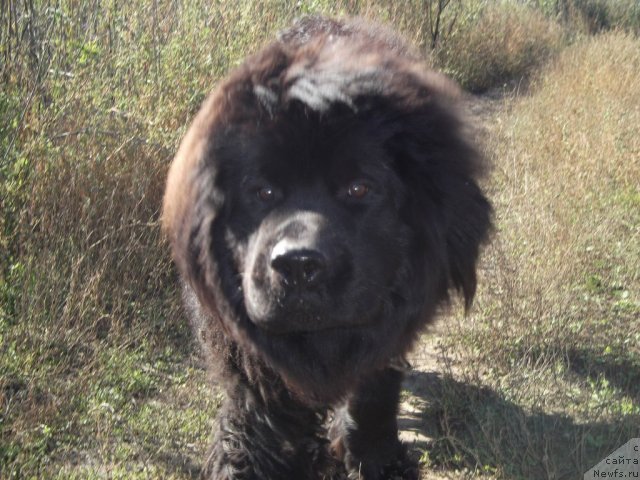 Фото: Любовь Губенко