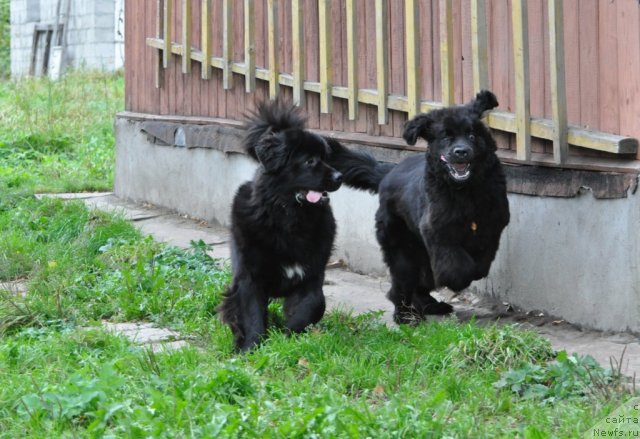 Фотография № 78173