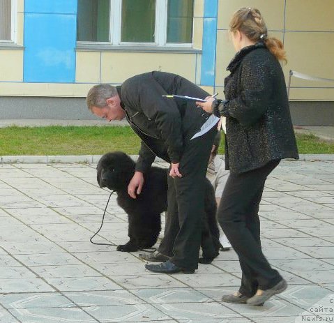 Фотография № 78182