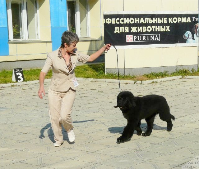 Фотография № 78183