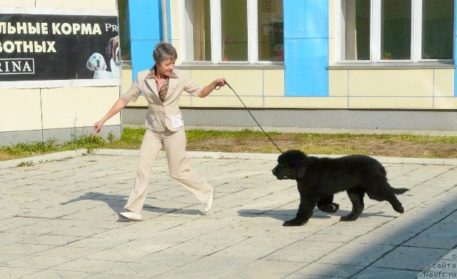 Фотография № 78184