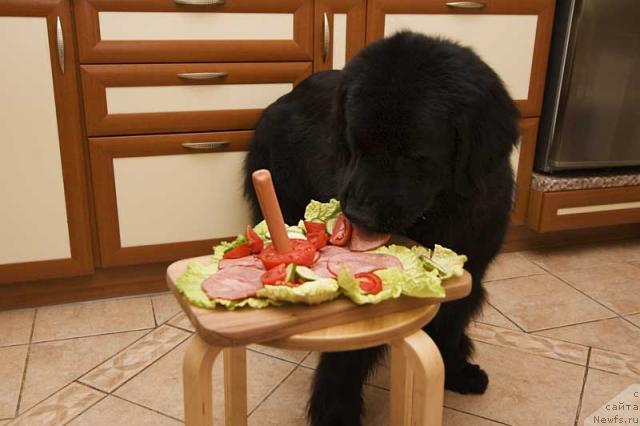 Фотография № 782