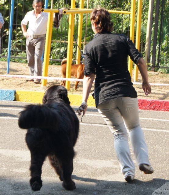 Фотография № 78201