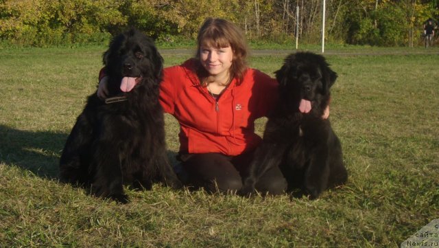 Фото: Виктория Замятина, ньюфаундленд Фиаметтахауз Монако Принцесс (Fiamettahauz Monaco Princess), ньюфаундленд Пассия Короля из Медвежьего Яра (Passia Korolya iz Medvejyego Yara)