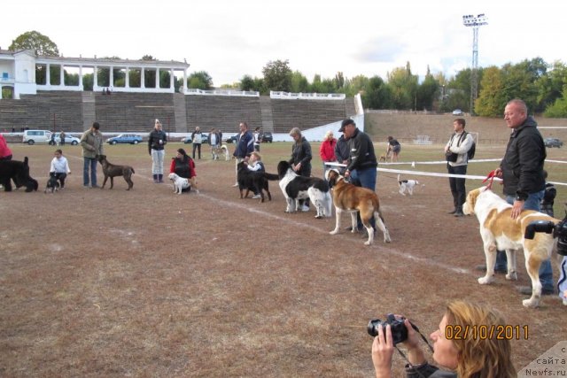 Фотография № 78215