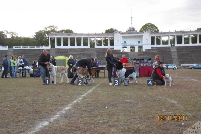 Фотография № 78216