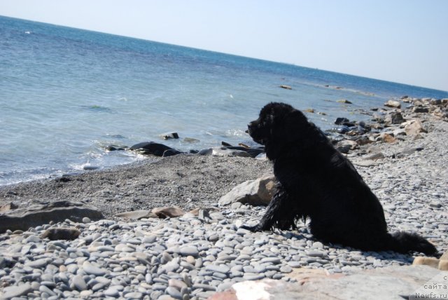 Фотография № 78219