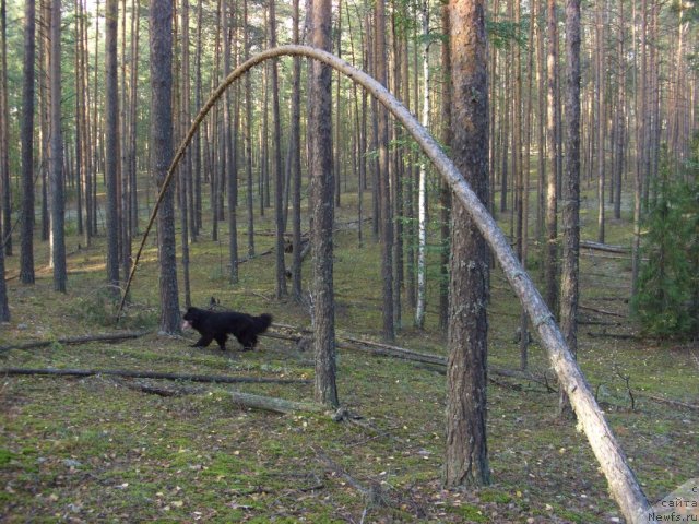 Фотография № 78226