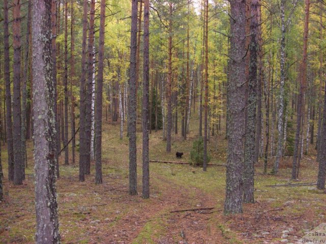 Фотография № 78227