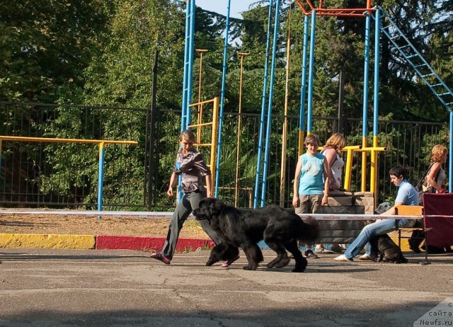 Фотография № 78235