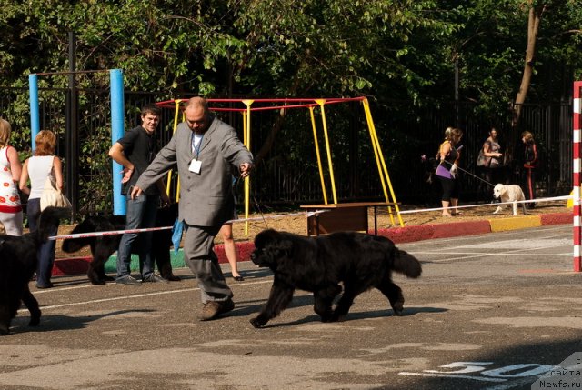 Фотография № 78243