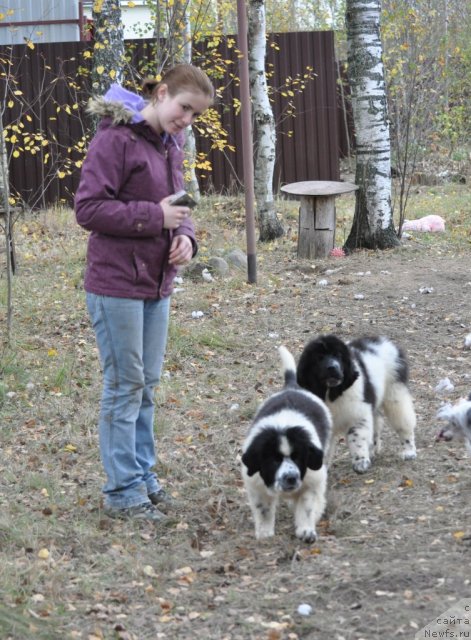 Фотография № 78247