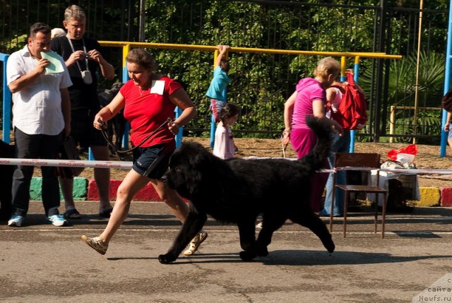 Фотография № 78248