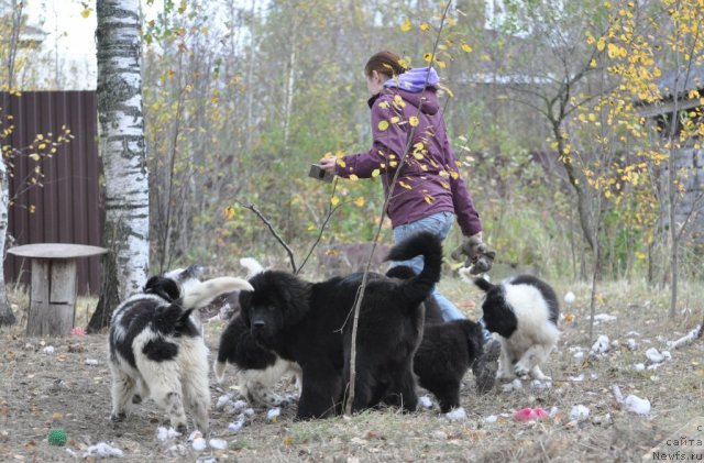 Фотография № 78249