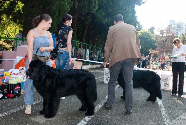 Фотография № 78250