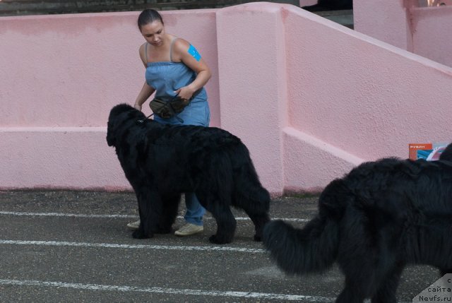 Фотография № 78251