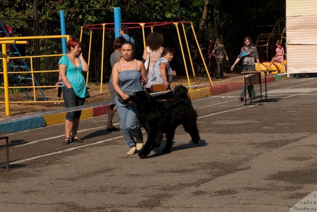 Фотография № 78253