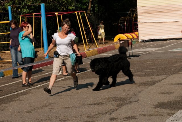 Фотография № 78254