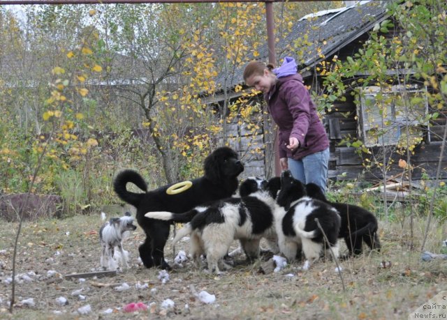 Фотография № 78255