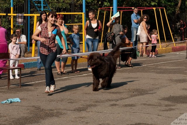 Фотография № 78258