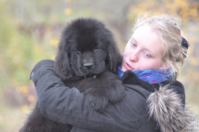 Фотография № 78260