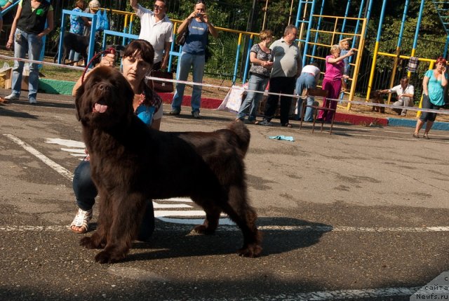 Фотография № 78262