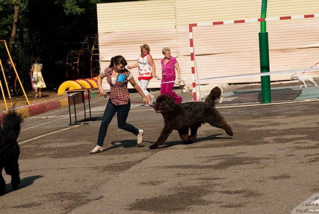 Фотография № 78265