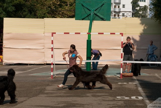 Фотография № 78266