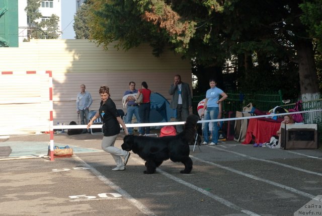 Фотография № 78267