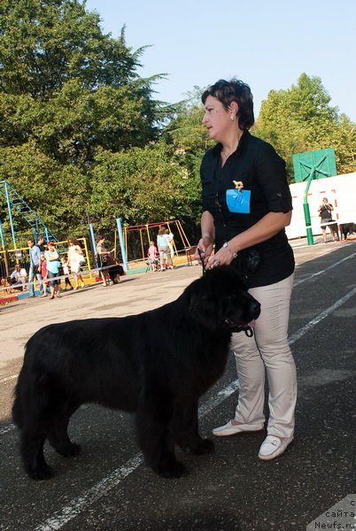 Фотография № 78269