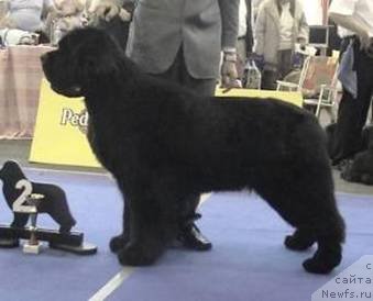 Фотография № 78450