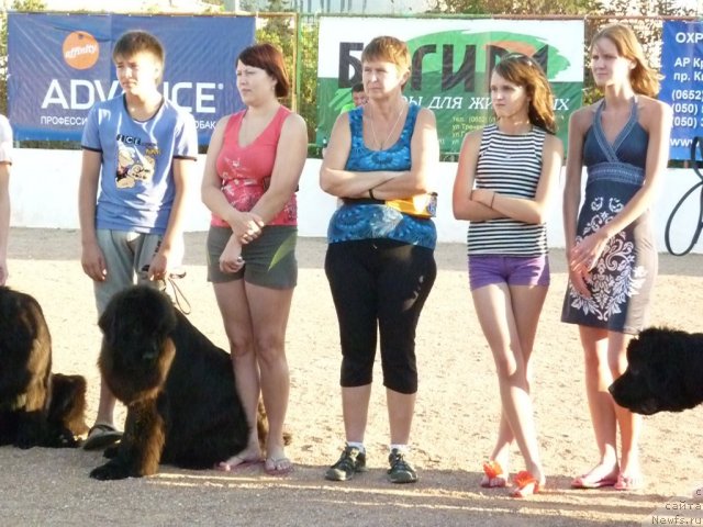 Фотография № 78473