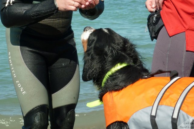 Фотография № 78508