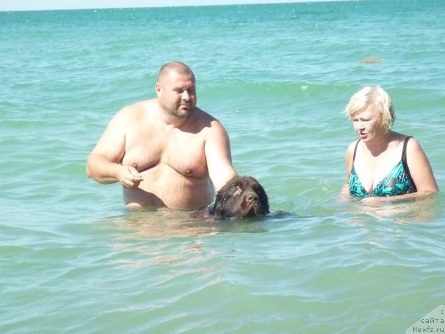 Фотография № 78518